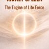 Kidney and Spleen: The Engine of Life Force - The Center of Vital Energy Regulation 2 Kidney And Spleen The Engine Of Life Force600
